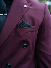 Renard - Plum 2 Piece Suit